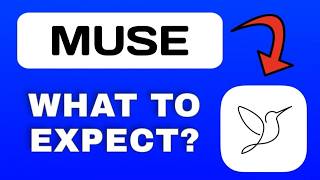Muse App Explained - What to Expect screenshot 5