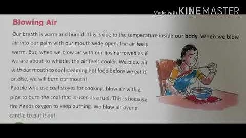 MLZS JHANSI CLASS 5 EVS All About Breathing Lecture 2