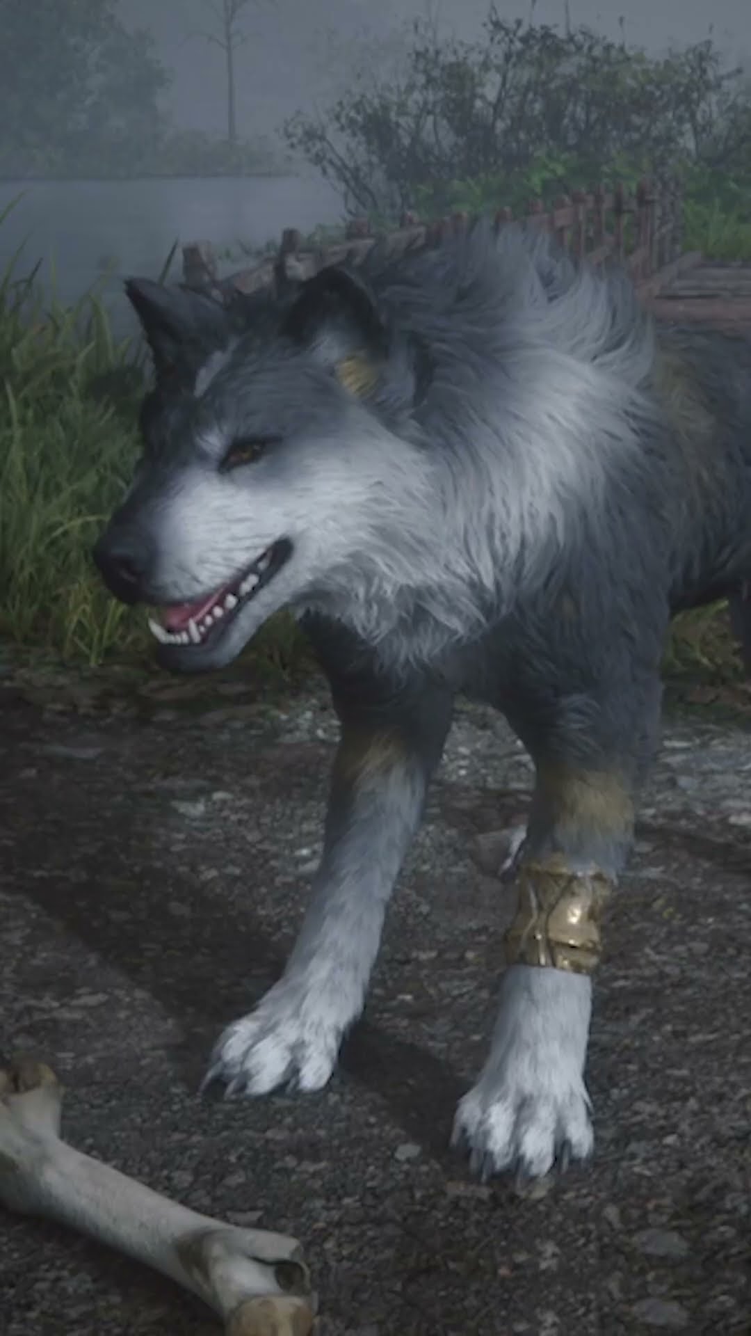 This is your reminder to tell Torgal he's the best boy. #FFXVI #FF16 #FinalFantasy