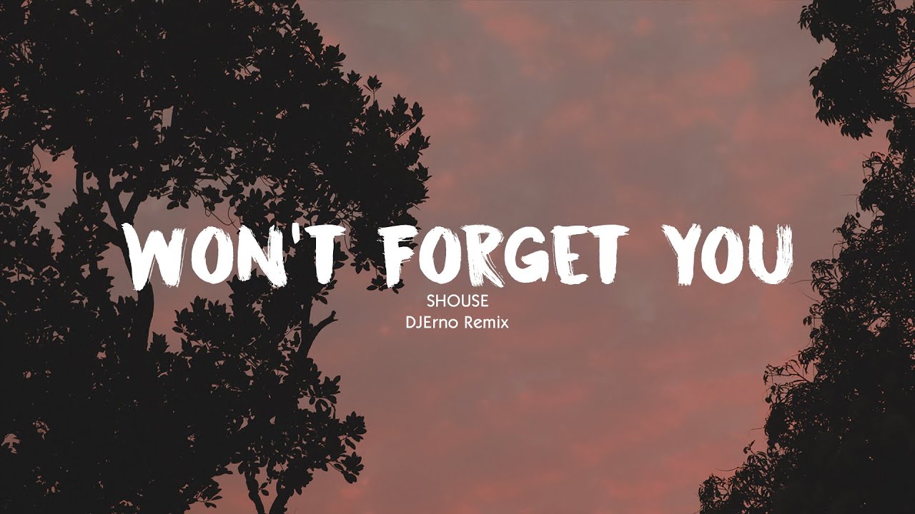 SHOUSE Won't You [DJErno Remix] YouTube