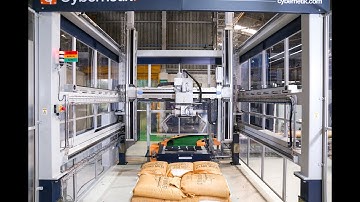 Single Pallet Gantry Palletizer | Cybernetik End of Line Automation