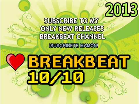 The Brainkiller - Bye Bye ■ Breakbeat 2013