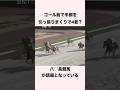 笠松競馬の八〇長競馬が話題となっている #競馬予想 #競馬 #ウマ娘 #shorts