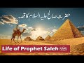 Hazrat saleh as story in urdu  qisa hazrat saleh alaihis salam ka  qasas ul anbiya  islam studio