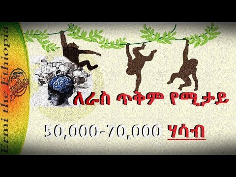 ለመጠቀም ሲባል የሚታይ ቪዲዮ 50 000 70 000 Thoughts We Have Per Day