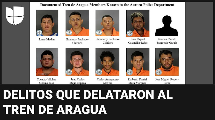 “Su expansión es visible”: qué delitos delataron al Tren de Aragua en América Latina y ahora en EEUU