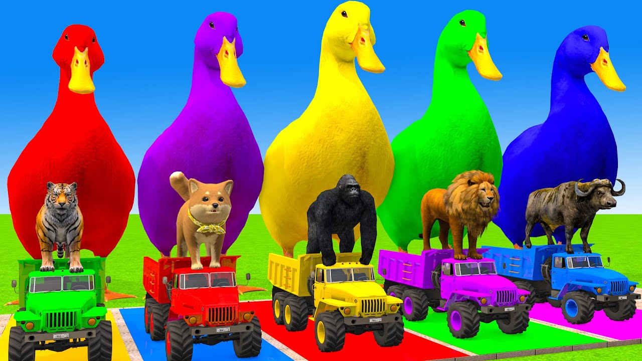 Long Slide Game With Cow Elephant Gorilla Hippopotamus Tiger 3d Animal Game Funny 3d Animals