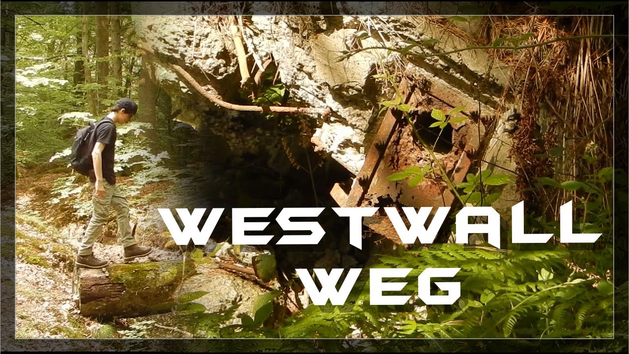 Der WESTWALL WEG im Bienwald
