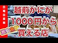 『時はきた、それだけだ』令和6年11月9日の激安魚屋@福井県敦賀市相木魚問屋
