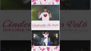 【Ty Japan】CINDERELLA FES 2019 FASHIONSHOW