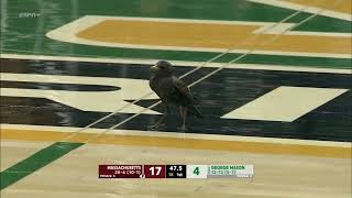 A bird in the arena disrupts game and lands on a fan’s head 🤣 | ESPN College Basketball screenshot 2