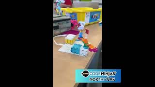 Working Robot made during LEGO: Robodojo Summer Camp!