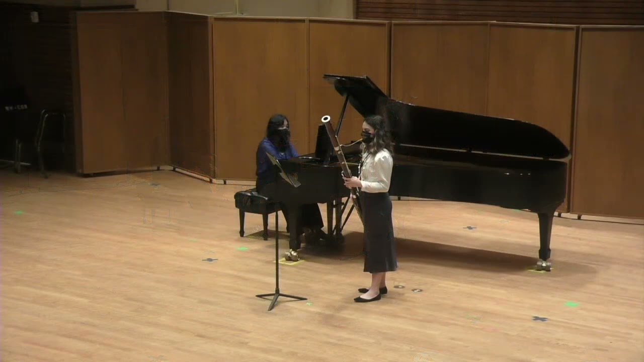 Morceau de Salon Op. 230, Johann Wenzel Kalliwoda, Marisa Esposito