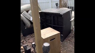 Growing Tropical Fruit Trees in North Florida zone 9A