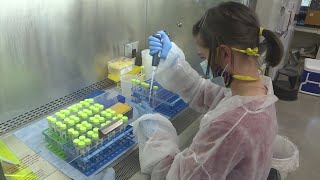 CSU To Require Weekly Testing During Spring Semester