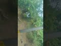 jindagi kitni khubsurat hai