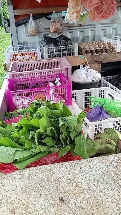 menjual sayur keliling menggunakan mobil #sayuran #menjualkeliling #jualankeliling