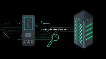 What Is a Secure Element in a Hardware Wallet?
