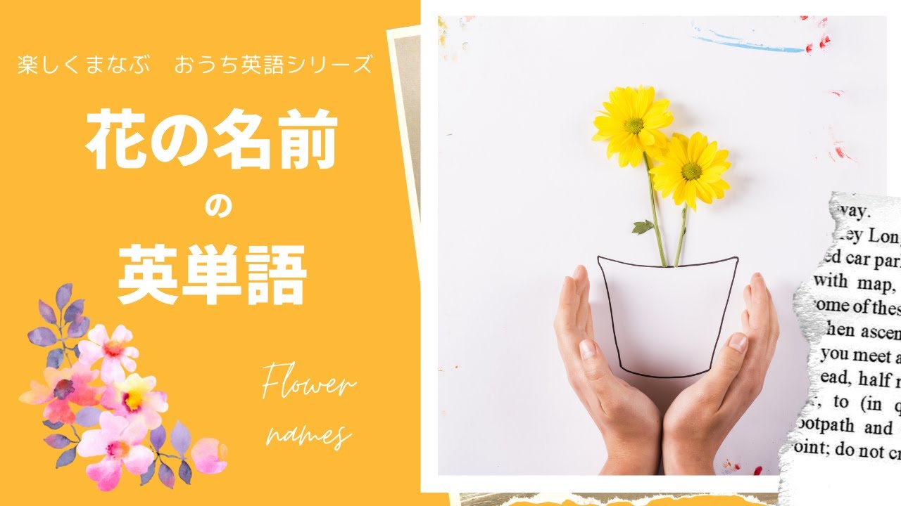 Flower Names 花の名前 英語でなんていう 花の名前を学ぼう 楽しくまなぶおうち英語シリーズ Youtube