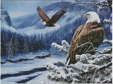 4. Старт многоцветки/#Иволга/Риолис1717финиш/магниты/Небольшие покупки