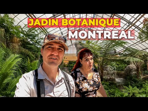 Vidéo: Jardin botanique de Toronto : le guide complet