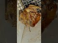 Spider Fangs #spider