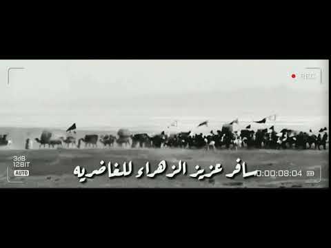 سافر عزيز الزهراء باسم الكربلائي حالات واتس اب ستوريات