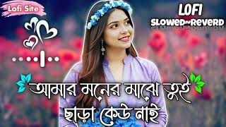 Amar Moner Majhe Tui Chara Keu Nei - Slowed Reverb Lofi Hip Hop Samz Vai Bangla Lofi Song