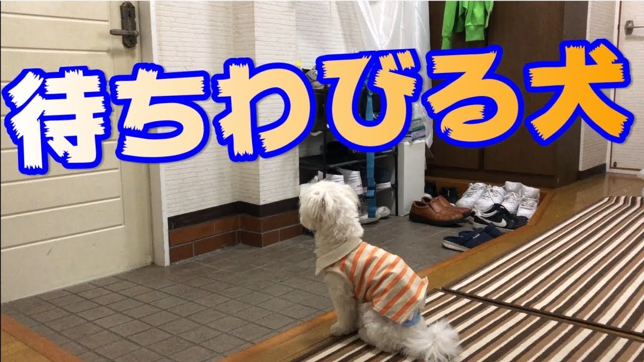 待ちわびる