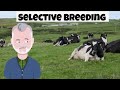 The Impact of Selective Breeding on Plants and Animals
