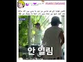 شف تاي توه صاحي من نوم ضيع بين شباك وبين باب Kajintae Keejw Shorts 