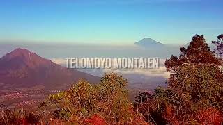 Story WA gunung telomoyo yg mendadak virall