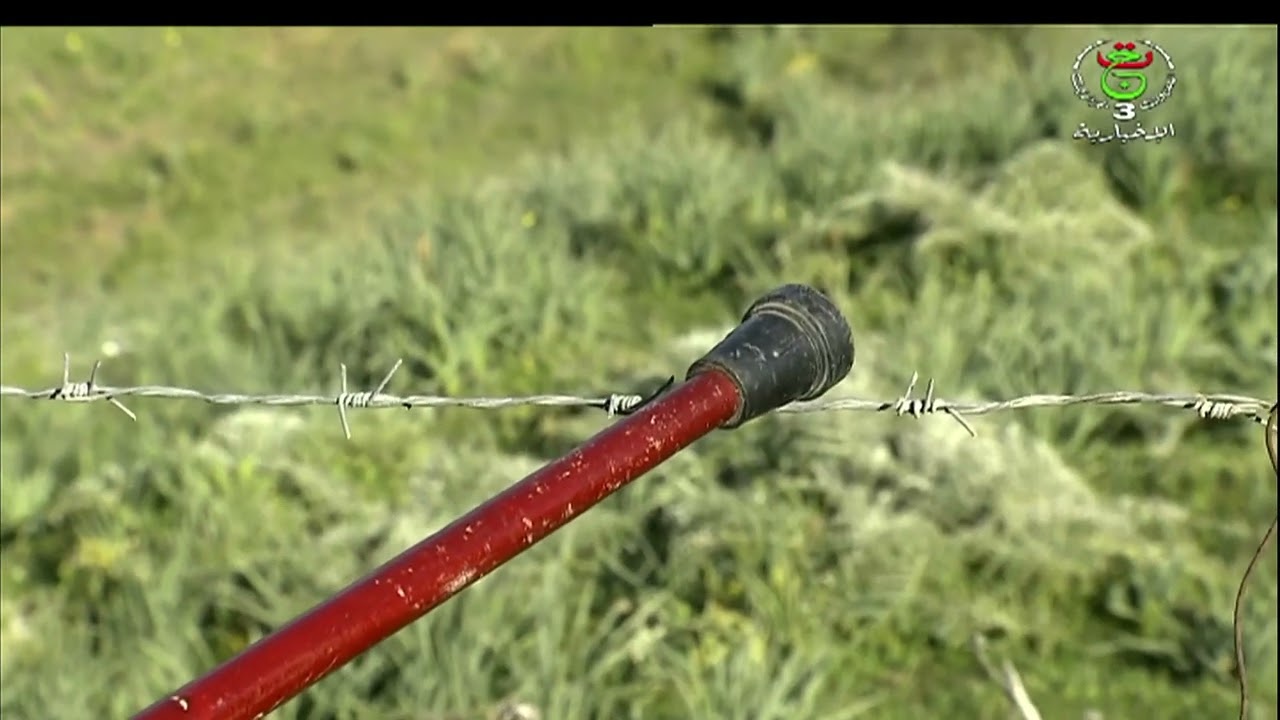 الطارف - ذاكرة وطنية| المجاهد عمار تاغيدة في مواجهة خط شال المكهرب