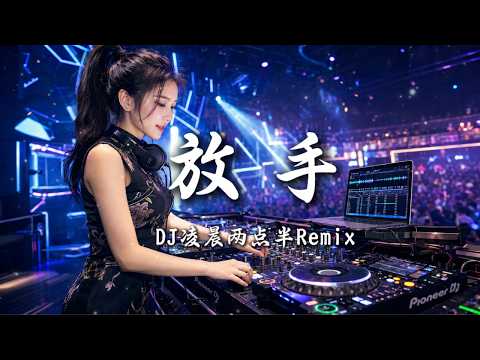DJ凌晨两点半 - 放手 (女版) ｜ DJ Remix 动态歌词MV