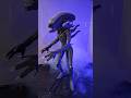 Unboxing an Alien Prop