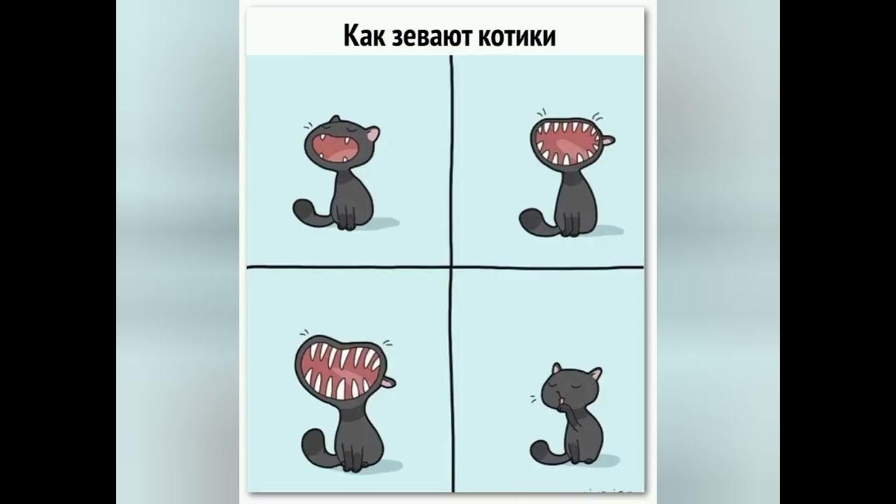 Просто мяу. Комиксы с котиками. Комикс про кота. Комиксы про котят. Смешной комикс про кота.