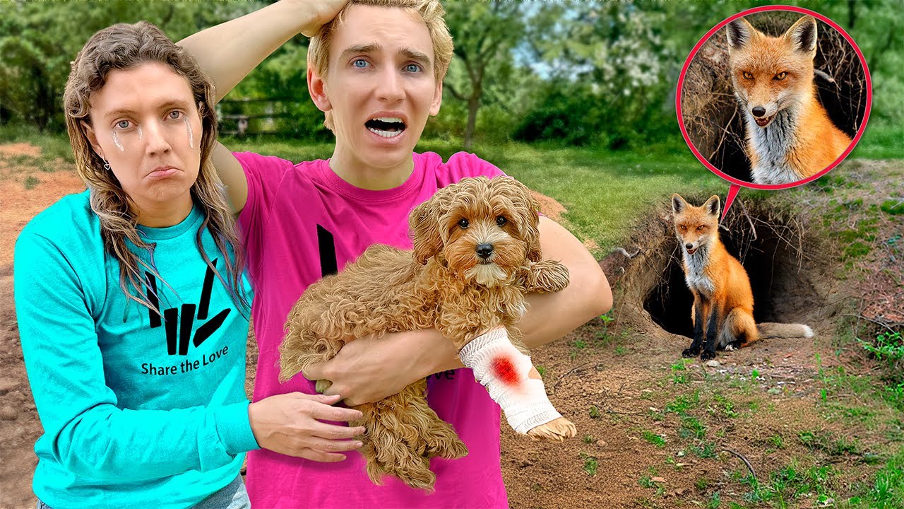 Vicious Fox ATTACKED My Sisters Dog!