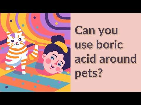 Vídeo: O ácido bórico é seguro para animais de estimação?