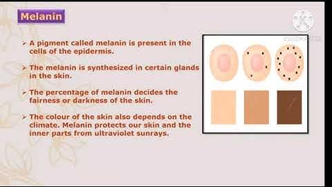 Standard: 6th Subject: General science chapter 8) our skeletal system and the Skin ( Part 2)