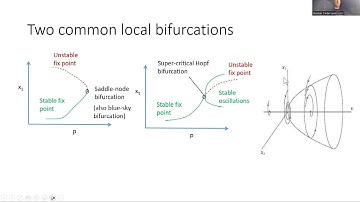 Video 9 Local bifurcations