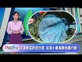 PeoPo公民新聞報｜把埤塘搬進教室  友善小農深夜巡螺護秧苗20260623