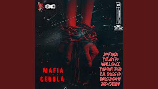 Mafia Cédula