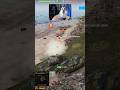 Шотник Разносит на ARL Projet F #миртанков #шотник