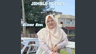 Download Lagu JOMBLO NGENES (Remastered 2025) MP3