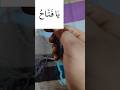 #YaFattahu #quran #deen #AllahName#islamicdua #viral #ytshorts #sortvideo