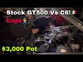GT500 Vs C6 | $1,500 Pot #GT500 #Shelby #Corvette