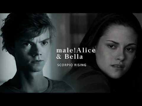 male!Alice + Bella | Scorpio rising