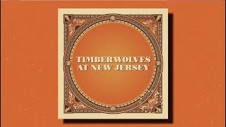 Video thumbnail of "Taking Back Sunday – Timberwolves at New Jersey"