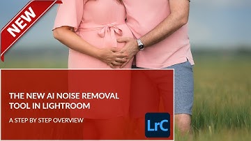 New AI Noise Reduction In Lightroom