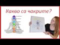 Какво са чакрите? || Нели Павлова